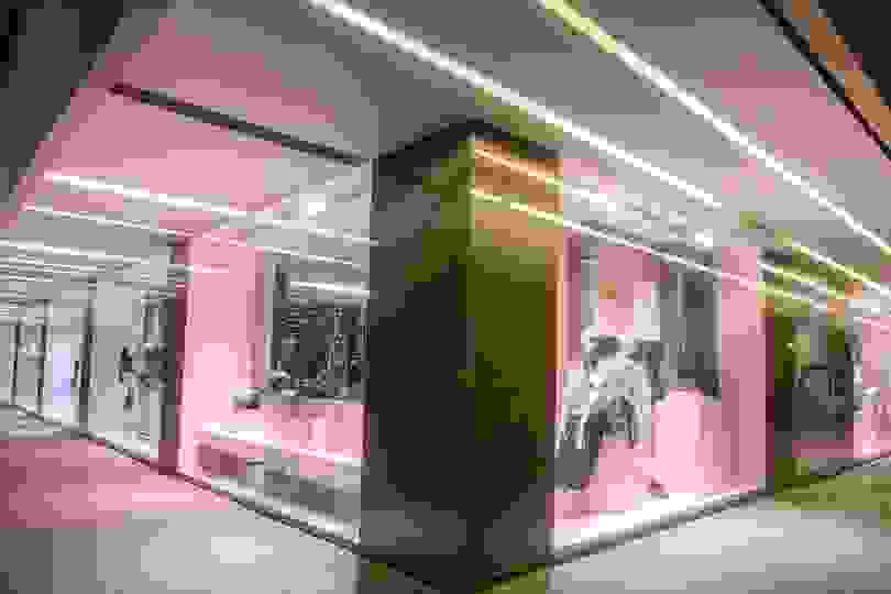 Gaudenzi 11