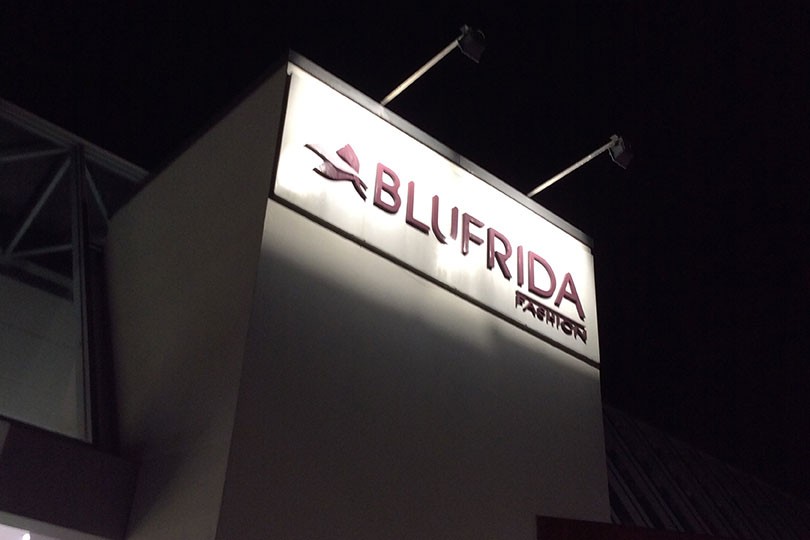 Blufrida