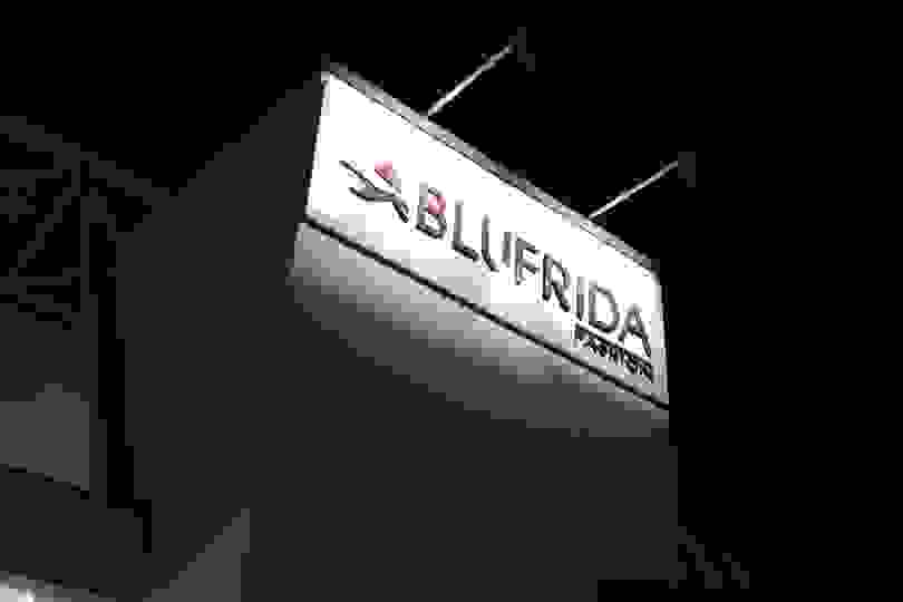 Blufrida