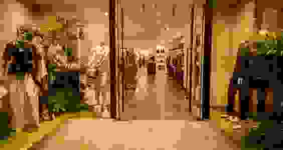 Cortecci