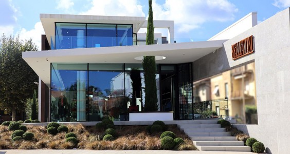 Bellettini Cura di Vetralla