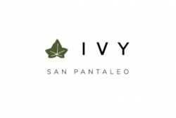 Ivy San Pantaleo