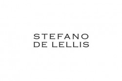 Stefano De Lellis