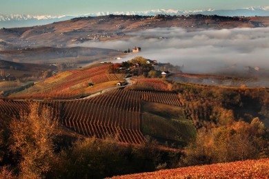 Langhe, Roero e Monferrato
