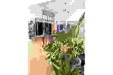 AseSTANTE